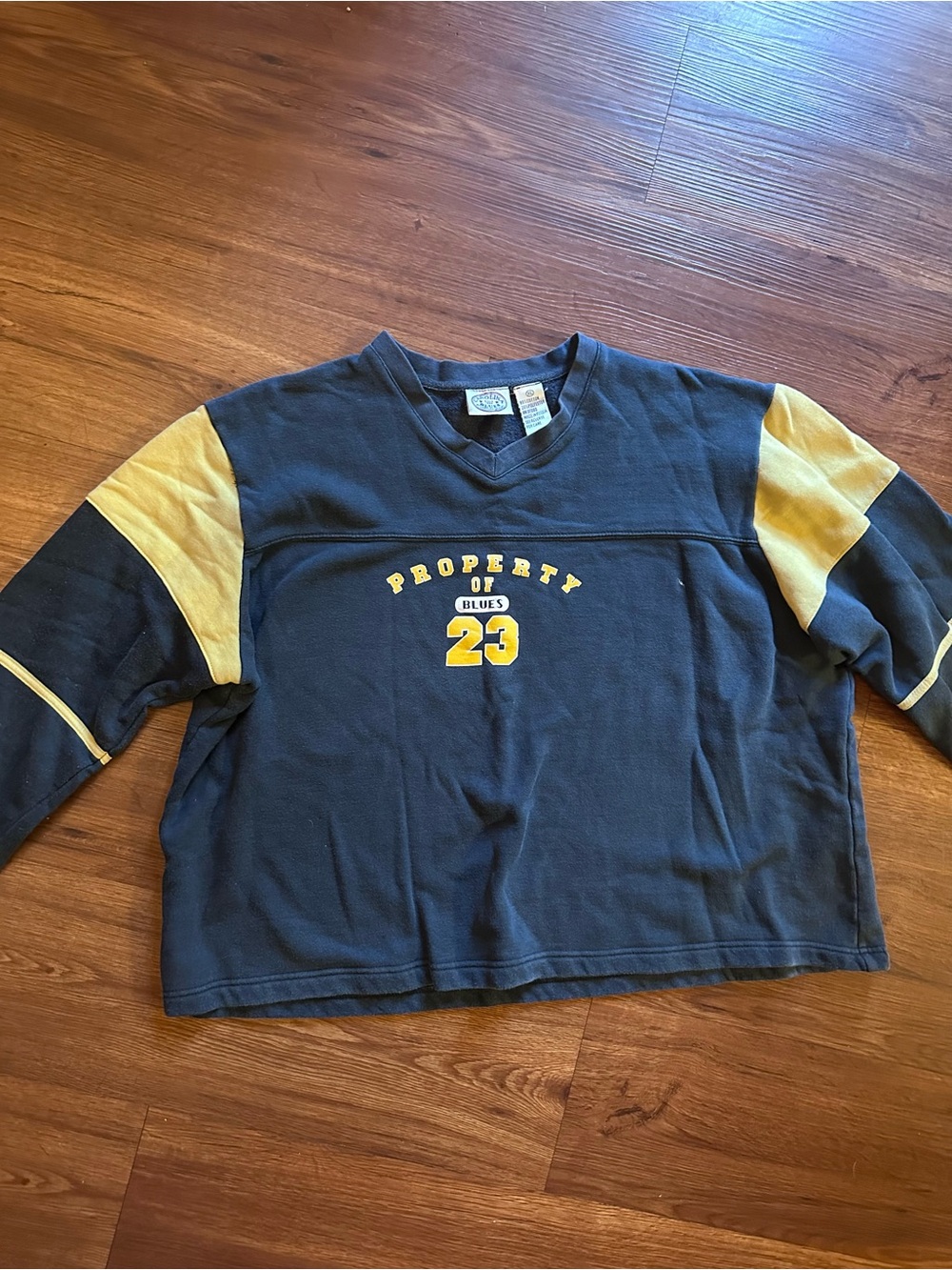Vintage 90s Carolina Blues Sporty Sweatshirt rugby style